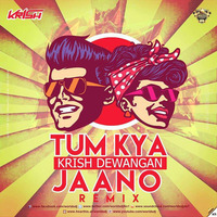 Tum Kya Jaano (Remix) - Krish Dewangan by Krish Dewangan