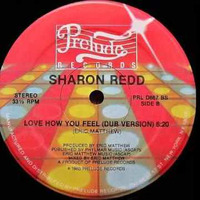 Love How You Feel (Dub) by  DJ Mix Master Papo