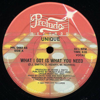 What I Got Is What You Need (Extended) by  DJ Mix Master Papo