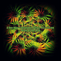  A One Hour Continuous Jungle Mix Session by Bus Bee