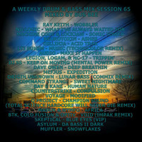 A Weekly Drum &amp; Bass Mix Session 65 by Bus Bee