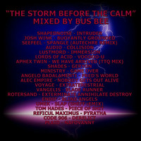 The Storm Before The Calm by Bus Bee