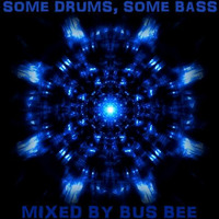 Some Drums, Some Bass by Bus Bee