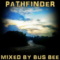 Pathfinder by Bus Bee