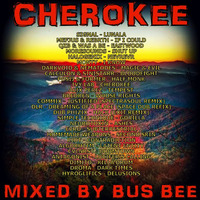 Cherokee by Bus Bee
