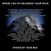When You've Reached Your Peak by Bus Bee