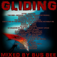 Gliding by Bus Bee