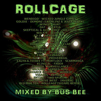 Rollcage by Bus Bee