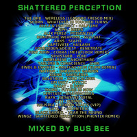 Shattered Perception by Bus Bee