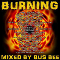 Burning by Bus Bee