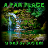 A Far Place by Bus Bee