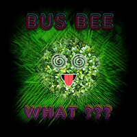 Bus Bee - What ??? (Free Download) by Bus Bee