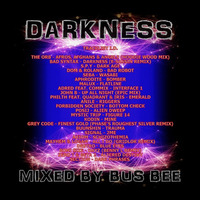 Darkness by Bus Bee