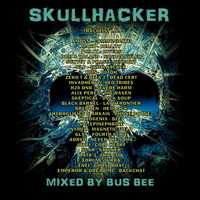 Skullhacker by Bus Bee