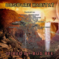 Obscure Habitat by Bus Bee