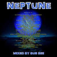 Neptune by Bus Bee