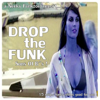 Neeky Funkzoid - Drop the Funk Sons Of B&quot;s.mp3 by neeky funkzoid