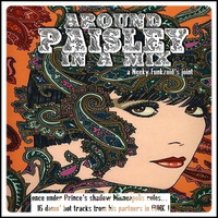 Neeky Funkzoid - AROUND PAISLEY PARK IN A MIX  by neeky funkzoid