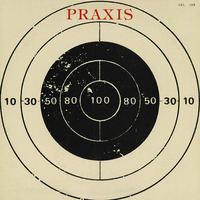 Praxis - 1984  by Mesaoria Plain - Simon Ahmet
