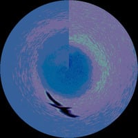 Tunnel Bird (naviarhaiku355 - 2020) by Ray Cobley