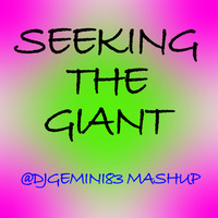 SEEKING THE GIANT by David Unsworth