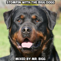 Stompin With The Bigg Dogg by Anthony M. Smith