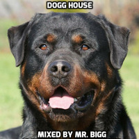 Dogg House by Anthony M. Smith