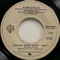 Deep Funk  (D.F.S Boogie Funk Re-Work) by Disco Funk Spinner (D.F.S)