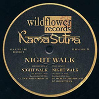 Karmasutra - night walk version by Giant Cuts