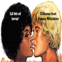 Lil Bit Of Lovin (Elseano feat James Wiltshire) by El Seano