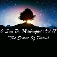 O Som Da Madrugada Vol 17 (The Sound Of Dawn) by Alexandre Do Vale