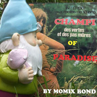 Champi of Paradise by Momix Bond
