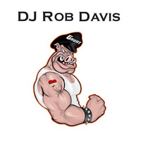 DJ Rob Davis - Grunt by Rob Davis
