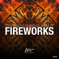 Fireworks feat. Nathan Brumley (FREE DL) by Tony Sinatra