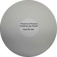 Womack &amp; Womack - Celebrate The World (Briak Re-Edit) - Preview by BRIAK