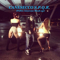 CANE SECCO - SPQR Fabio Amoroso RMX by Fabio Amoroso