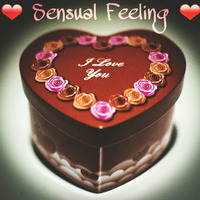Sensual Feeling by DJ E.L.