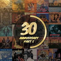 30th Anniversary Recap – Part 5 (Remixes, B-Sides, Classics &amp; Forgotten Gems) by Brooklyn Radio