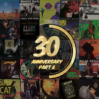30th Anniversary Recap – Part 6 by Brooklyn Radio