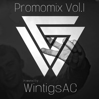 0.5h Electro Progressive House Mix [feat. WintigsAC] [FREE DOWNLOAD] by WintigsAC DJs