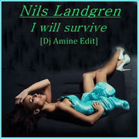 Nils Landgren - I will survive (Dj Amine Edit) by DJ Amine