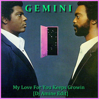Gemini - My Love For You Keeps Growin [Dj Amine Edit] by DJ Amine