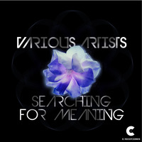 Various Artists - Searching for Meaning by C RECORDINGS