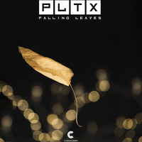 [Free Download] PLTX - Falling Leaves by C RECORDINGS