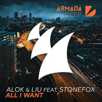 Alok & Liu feat. Stonefox - All I Want (Leo Sampaio Reconstruction Mix) TEASER by Leo Sampaio