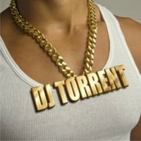 DJ TORRENT - REMIXLAND 2014.02 by djtorrent