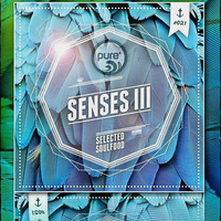 Pure Senses III mixed by Garry Woodapple by Garry Woodapple - Official