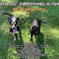 Everything's Gonna Be Alright Mix by DJ Stress