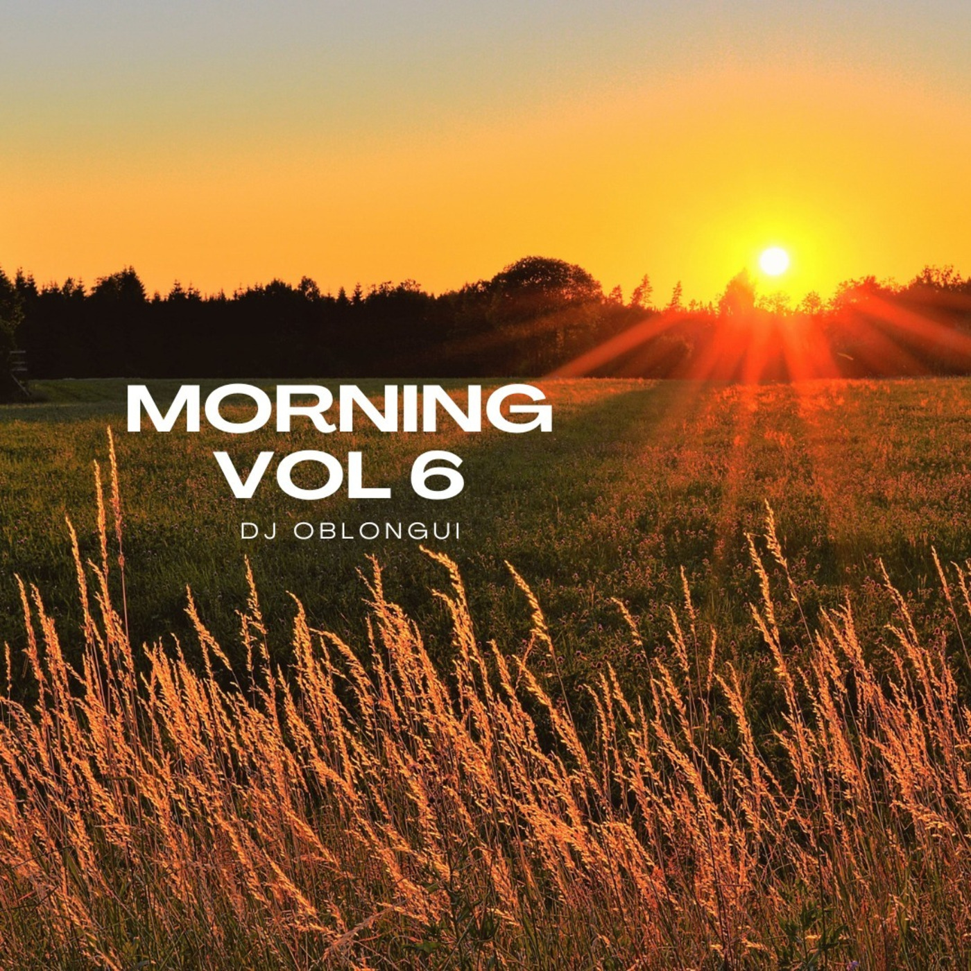 DJ Oblongui Morning Vol 06 ( Bun Xapa, Jonathan Kasper, Rhythm is Rhythm...)