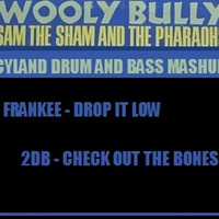 Sam The Sham - Wolly Bully DnB mix (Frankee - Drop it Low, 2Db - Check out the Bones) by cyland